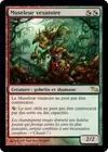 Product image for Museleur vexatoire