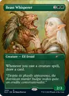 Product image for Beast Whisperer