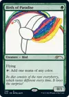 Product image for Birds of Paradise