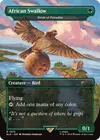 Product image for Oiseaux de paradis