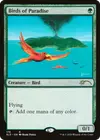 Product image for Birds of Paradise