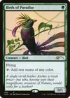 Product image for Oiseaux de paradis