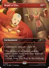 Product image for Braid of Fire