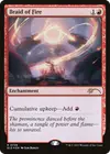 Product image for Braid of Fire