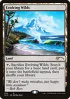 Product image for Evolving Wilds