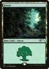 Product image for Forest