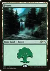 Product image for Forest