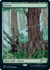 Product image for Forest