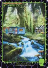 Product image for Forest