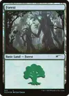 Product image for Forest