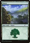 Product image for Forêt