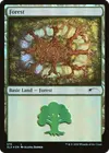 Product image for Forest