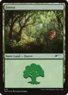 Product image for Forêt