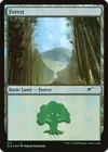 Product image for Forest