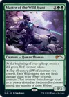 Product image for Master of the Wild Hunt