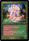 Product image for Sheltered Thicket