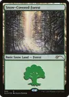 Product image for Forêt enneigée