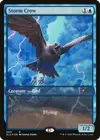 Product image for Storm Crow