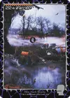 Product image for Swamp