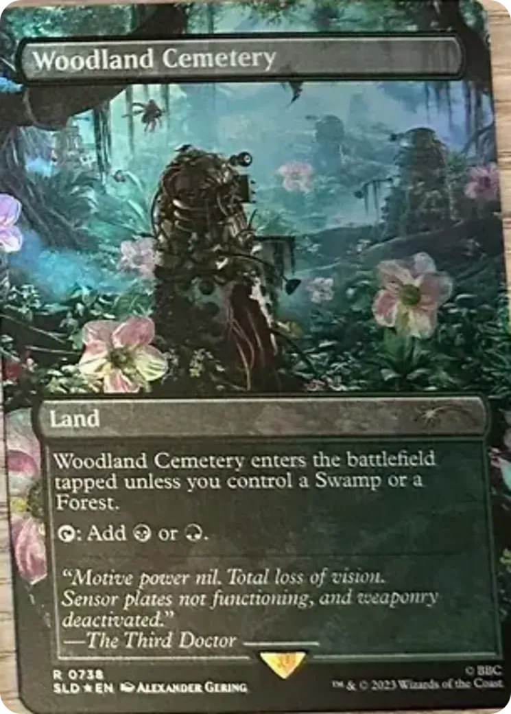 Woodland Cemetery — Secret Lair Drop — Magic: The Gathering