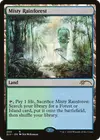 Product image for Misty Rainforest