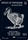 Product image for Birds of Paradise
