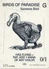 Product image for Birds of Paradise