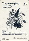 Product image for Thrummingbird