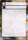 Product image for Double-Faced Substitute Card