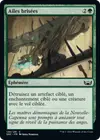 Product image for Ailes brisées