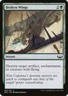 Product image for Broken Wings