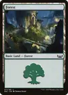 Product image for Forest