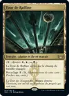 Product image for Tour de Raffine