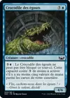 Product image for Crocodile des égouts