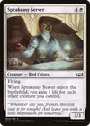 Product image for Speakeasy Server