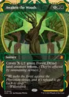 Product image for Awaken the Woods