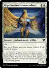 Product image for Représentant transcendant