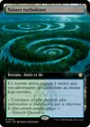 Product image for Nature turbulente