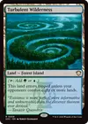 Product image for Turbulent Wilderness