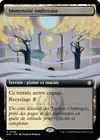 Product image for Immensité ombreuse