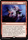 Product image for Combustion du dedans
