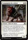 Product image for Compagnon du cathare