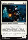Product image for Cathare intrépide