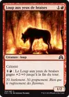 Product image for Loup aux yeux de braises