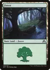 Product image for Forest