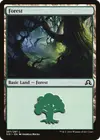 Product image for Forest