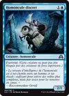 Product image for Homoncule discret