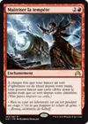 Product image for Maîtriser la tempête