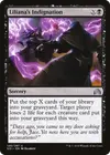 Product image for Liliana's Indignation