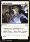 Product image for Not Forgotten